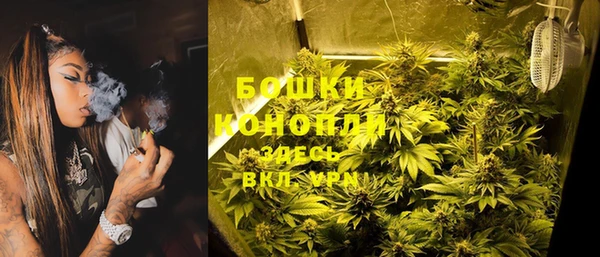 стаф Балахна